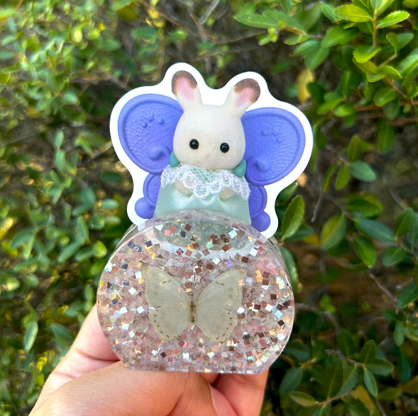 Transparent Butterfly Photo Holder