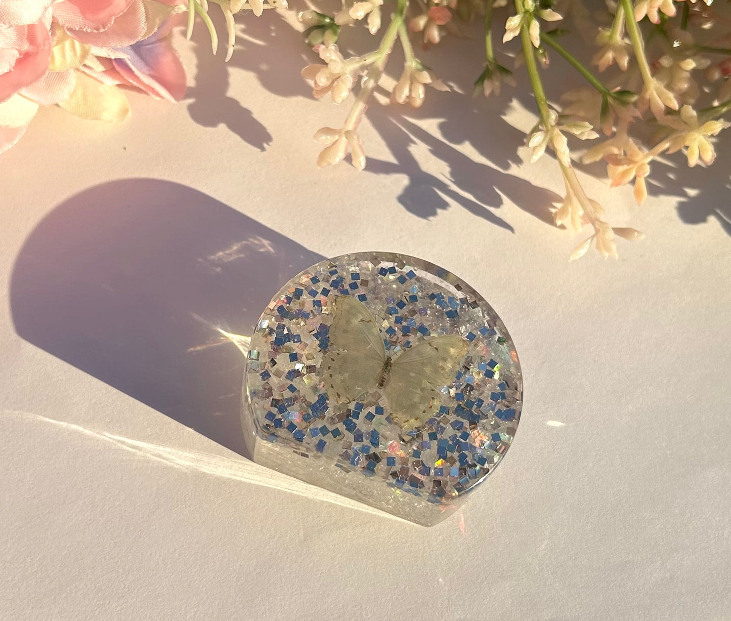 Transparent Butterfly Photo Holder