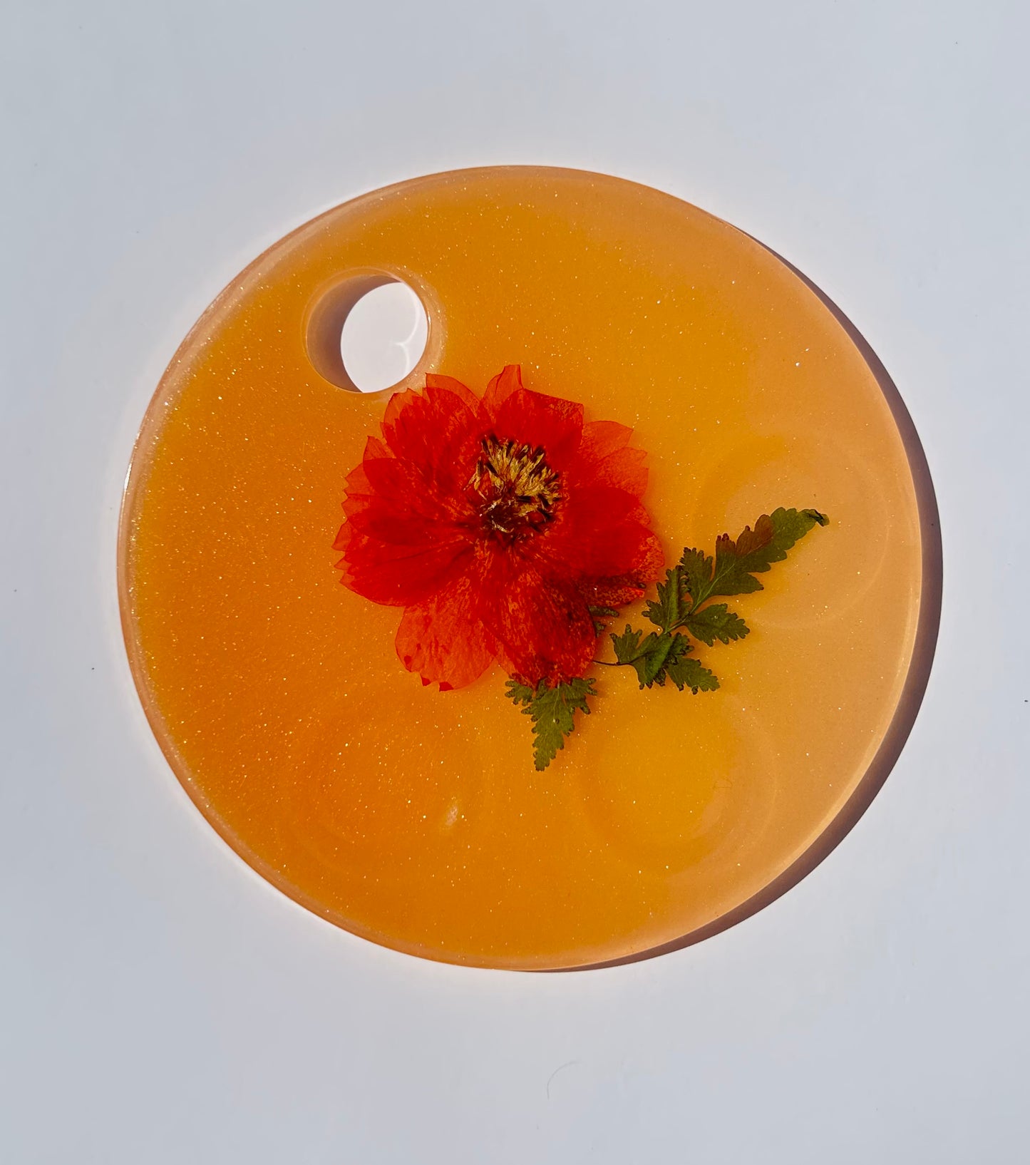 Orange Makeup/Paint Palette